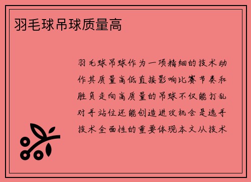 羽毛球吊球质量高