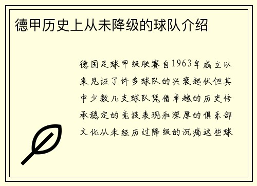 德甲历史上从未降级的球队介绍