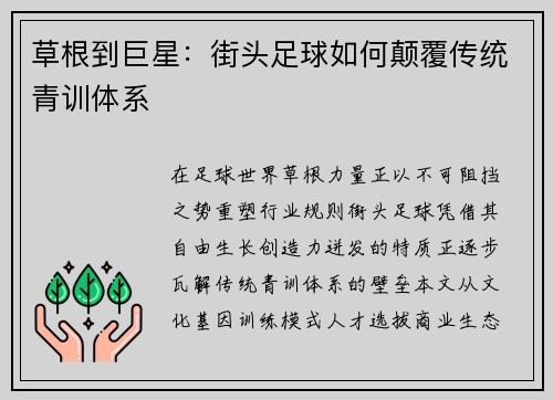 草根到巨星：街头足球如何颠覆传统青训体系