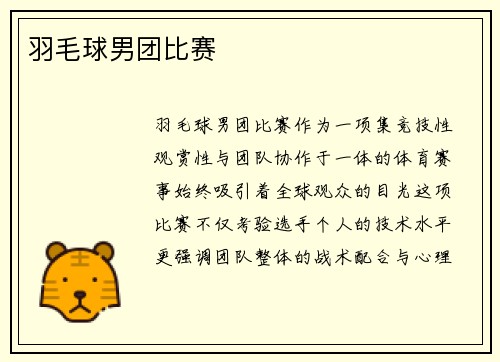 羽毛球男团比赛